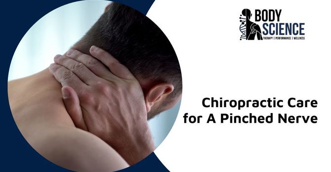 https://bodysciencetherapy.com/wp-content/uploads/2023/08/chiropractic-for-pinched-nerve-mississauga.jpg