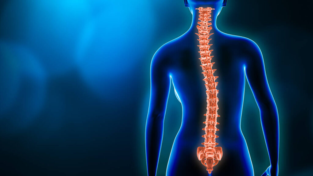 chiropractic for scoliosis mississauga